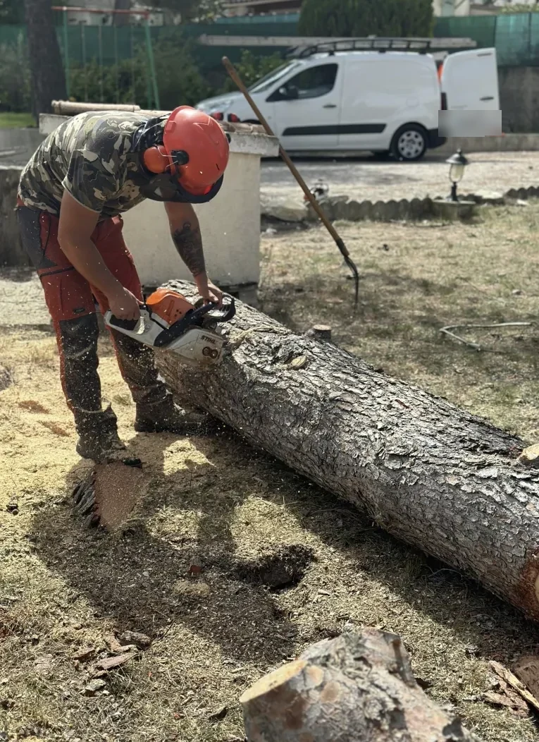 Artisan paysagiste en chantier d'élagage avec tronçonneuse et équipement de sécurité