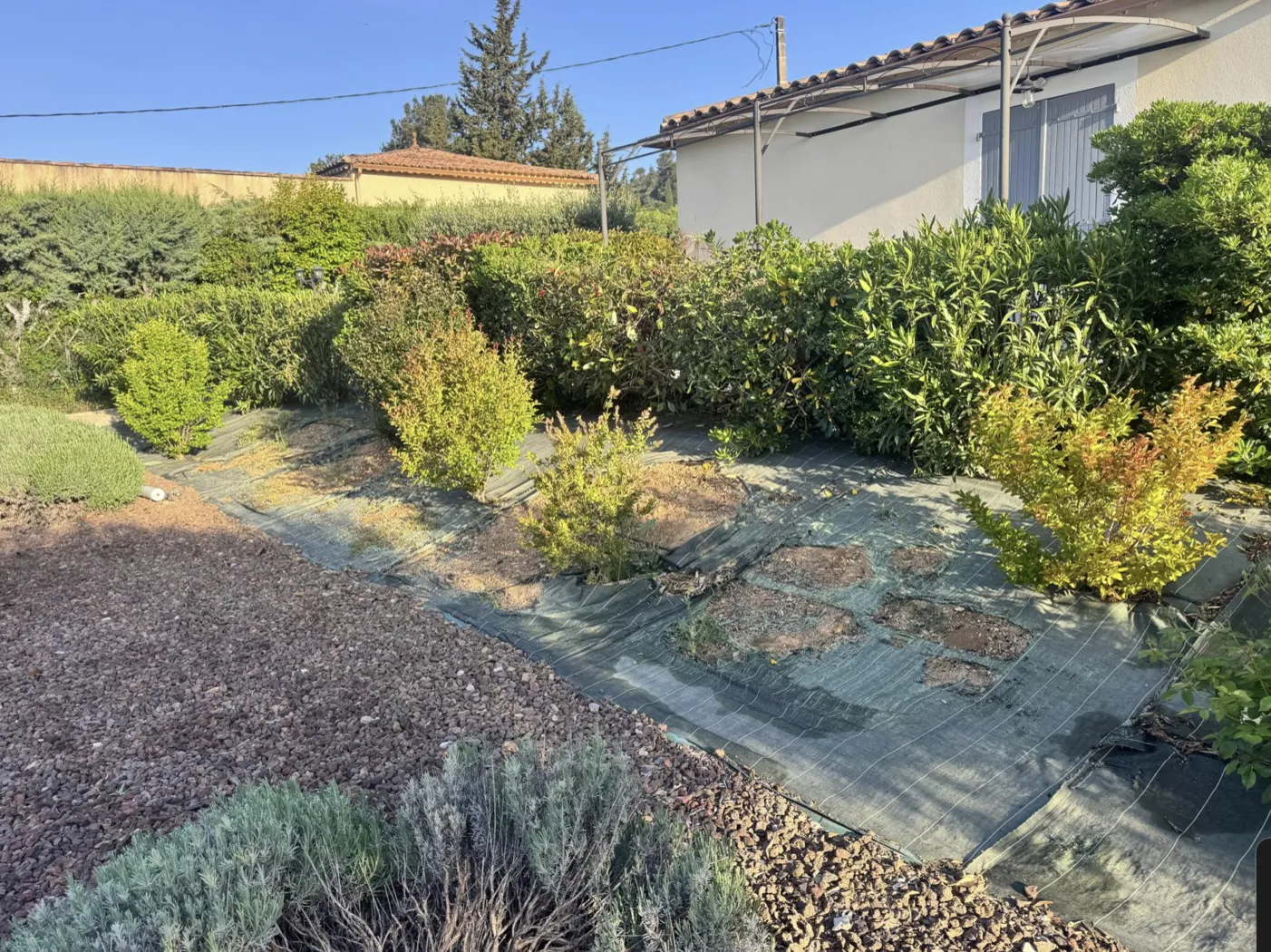 Installation de nouvelles plantations